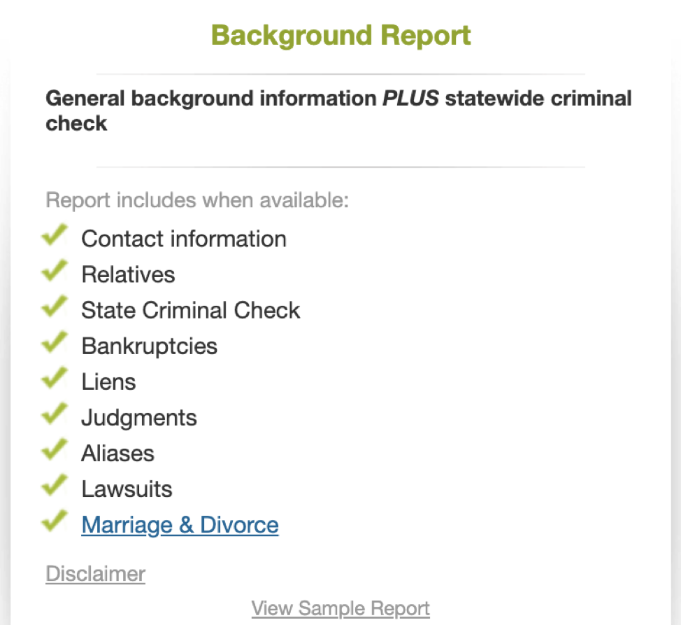 Background Report